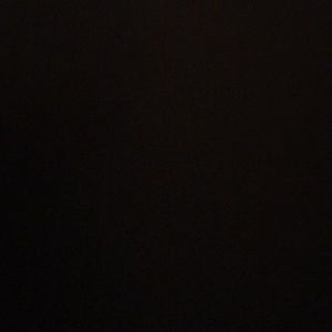 Meet your Posher, Paige